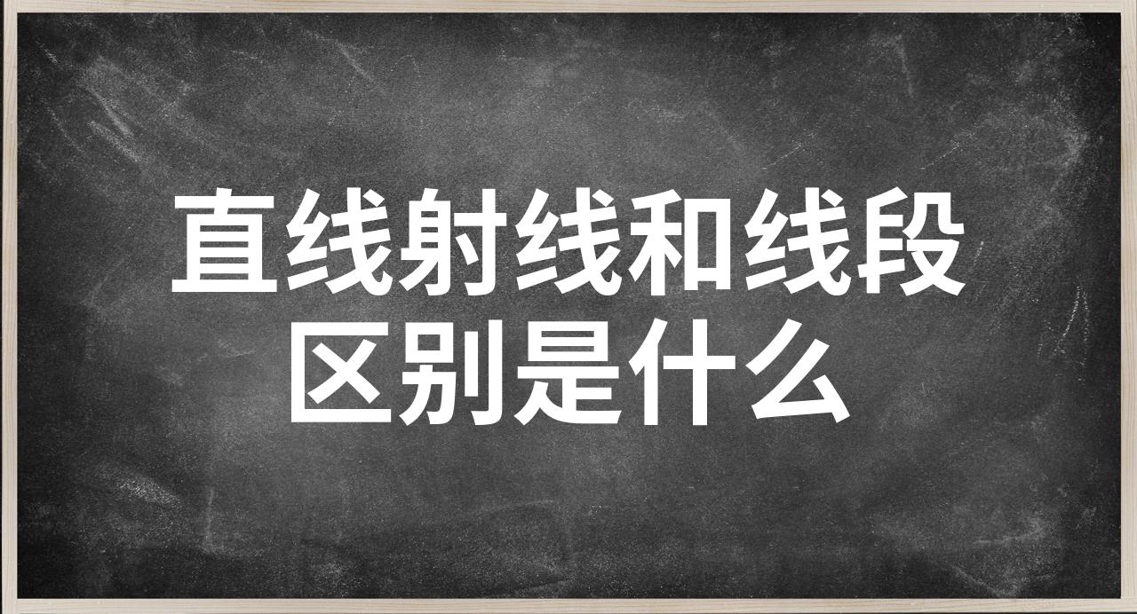 什么是直线(什么是直线图片)