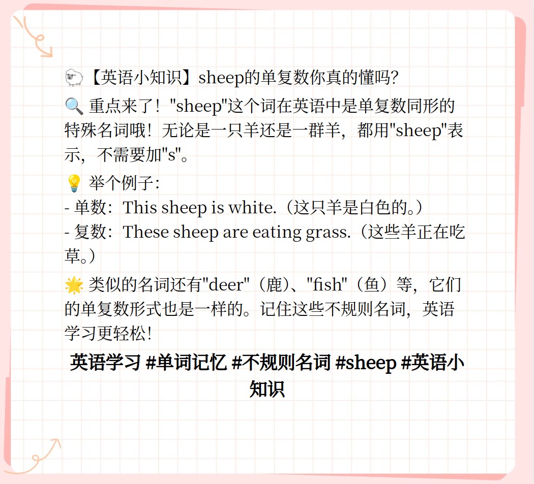 sheep的复数形式图片