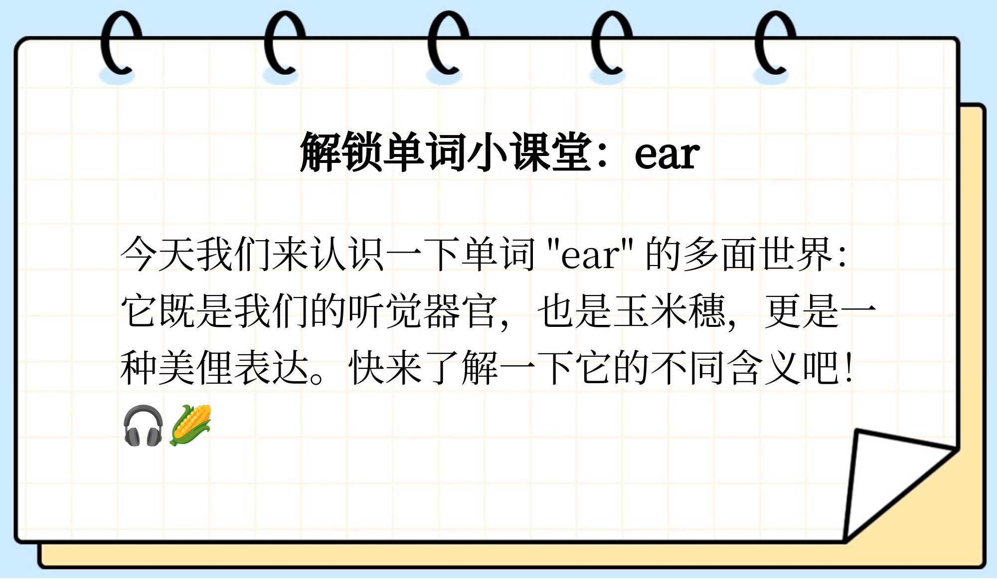 ear是什么意思中文图片