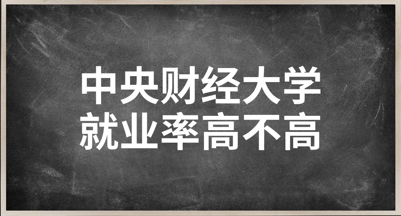 中央财经大学就业率(中央财经大学就业去向)