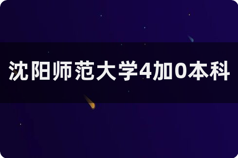 沈阳出国留学工资多少(去新加坡留学需要什么条件)