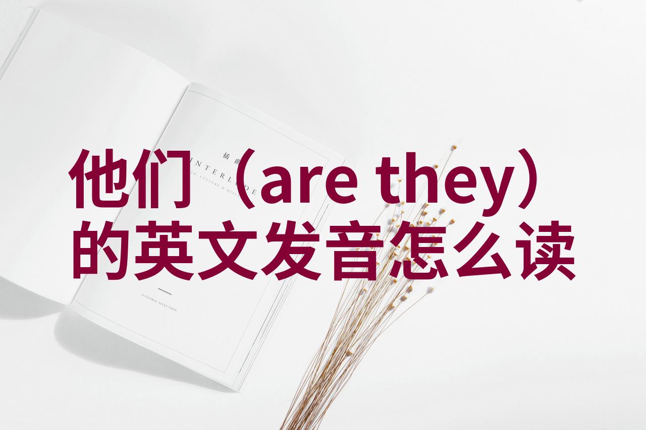 他们怎么读