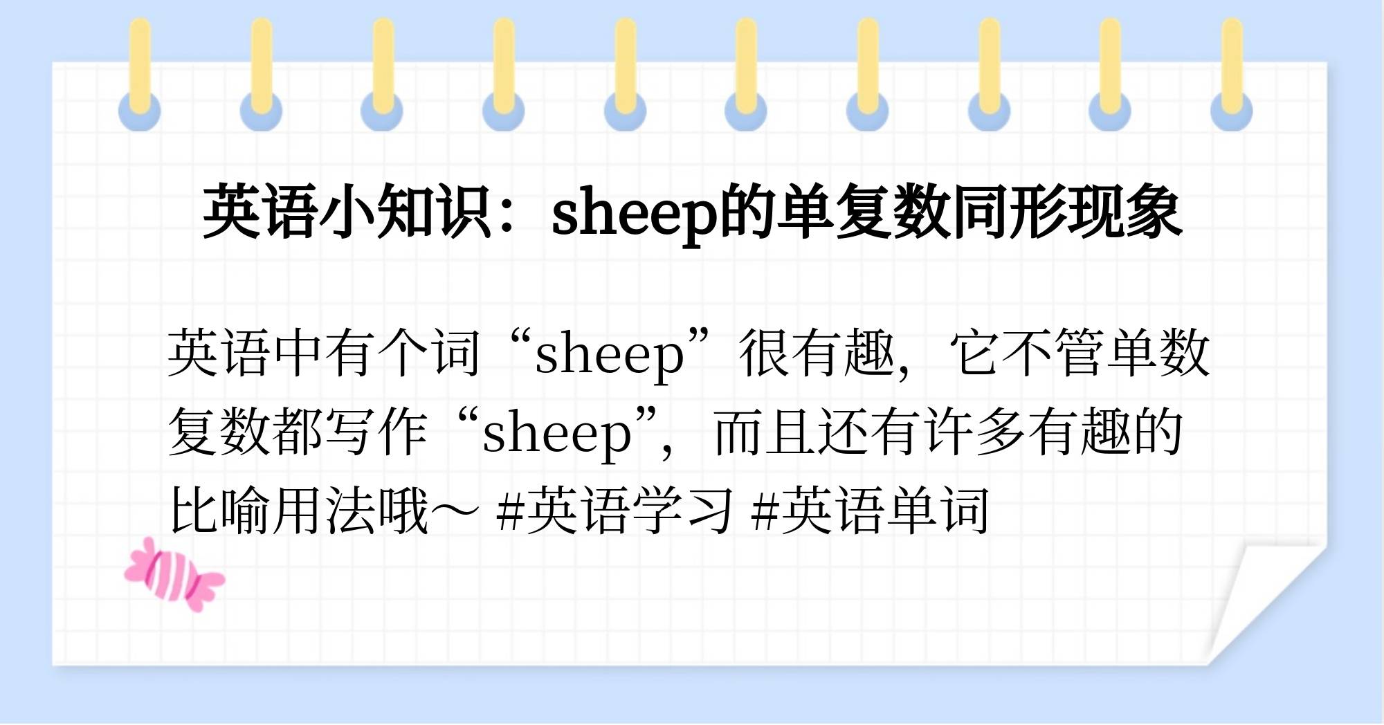 sheep的复数形式图片