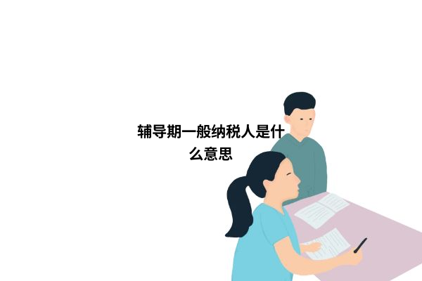 辅导期一般纳税人图解