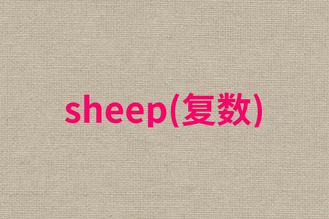 sheep的复数形式图片