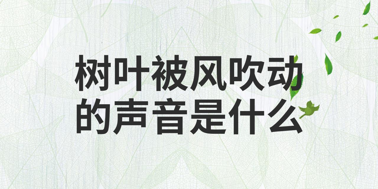 树叶被风吹动的声音是什么