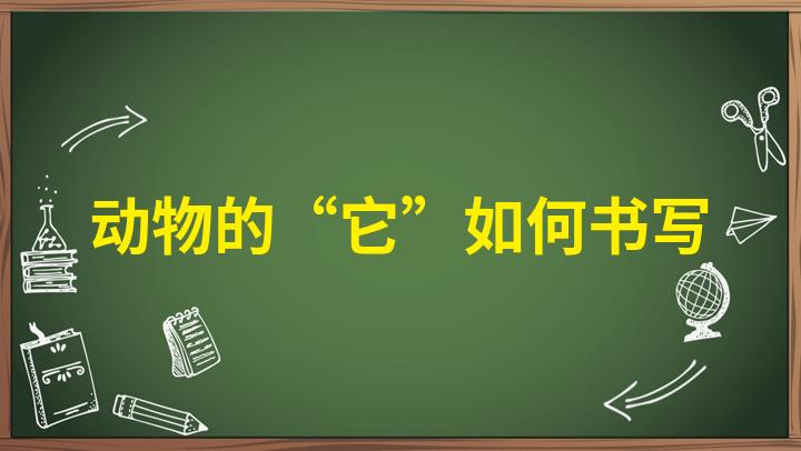 动物的它怎么组词图片